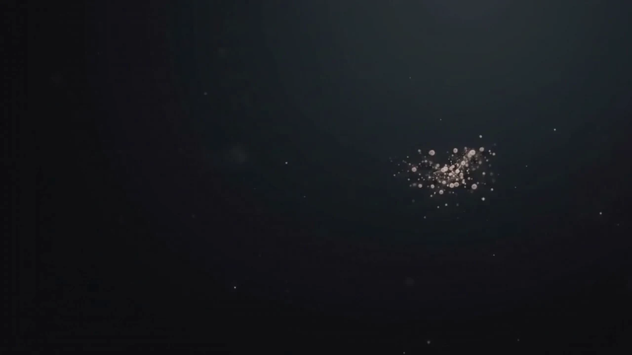 Sparkling particles gather into ribbons of pink and lilac light that bloom into a flower.